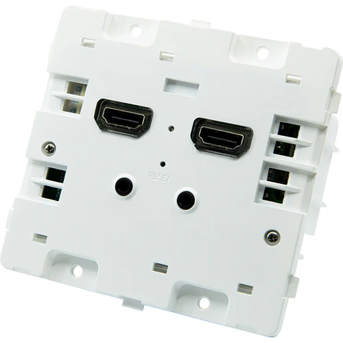 BirdDog Wallplate Dual Input - Image 2