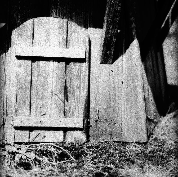 Film Washi F  - ISO 100 / 21° - Medical Fluorographic X-Ray 120 Film - Image 4