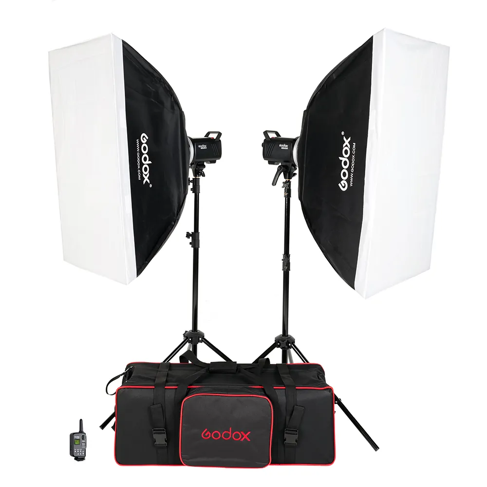 Godox MS 200-V 2 Head Octa Softbox & Stand Kit