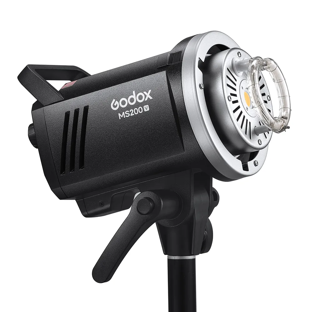Godox MS 200-V 2 Head Octa Softbox & Stand Kit - Image 2