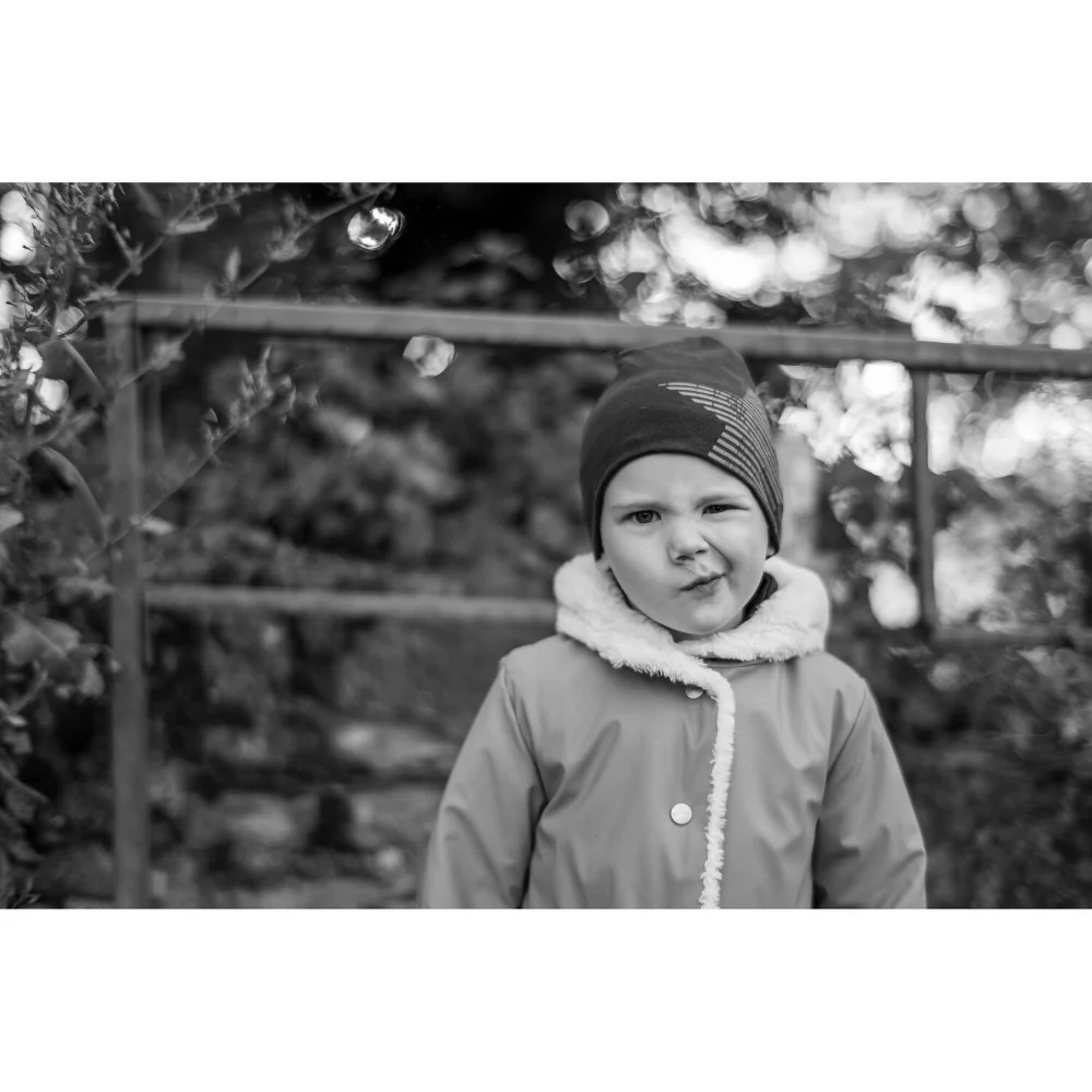 Leica Summilux-M 50mm f/1.4 Lens (Leica M, Silver) - Image 9