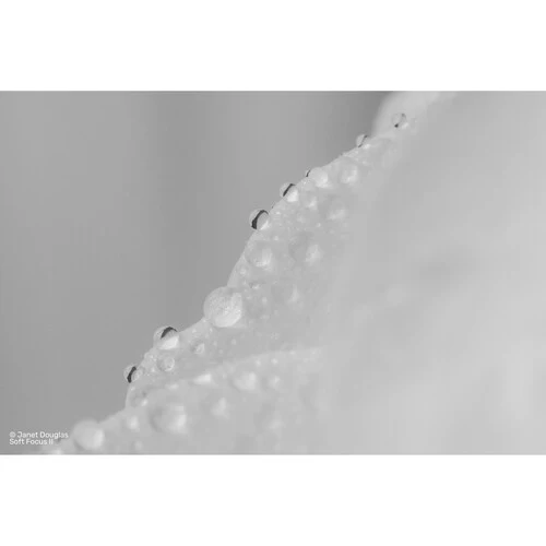 Lensbaby Soft Focus II 50 Optic - Image 5