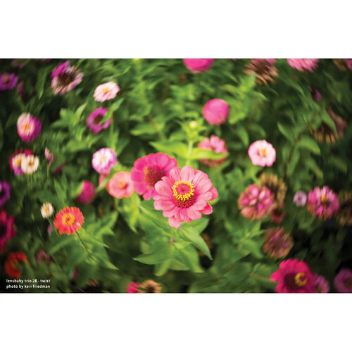 Lensbaby Trio 28mm f/3.5 Lens for Fujifilm X - Image 8