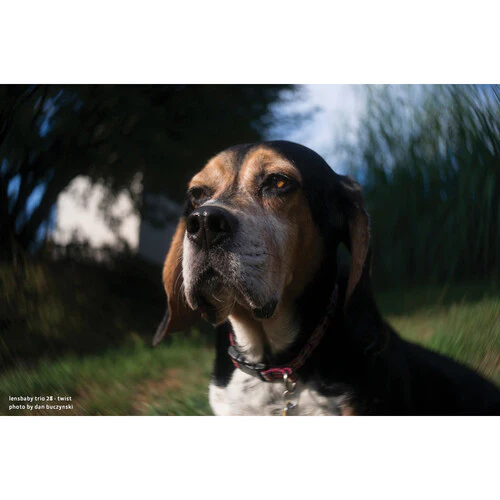 Lensbaby Trio 28mm f/3.5 Lens for Sony E - Image 4