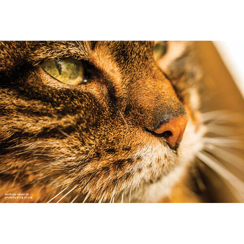 Lensbaby Velvet 56mm f/1.6 Lens for L Mount - Image 7