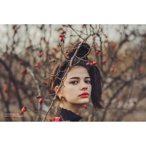 Lensbaby Velvet 85mm f/1.8 Lens for Nikon F - Image 8