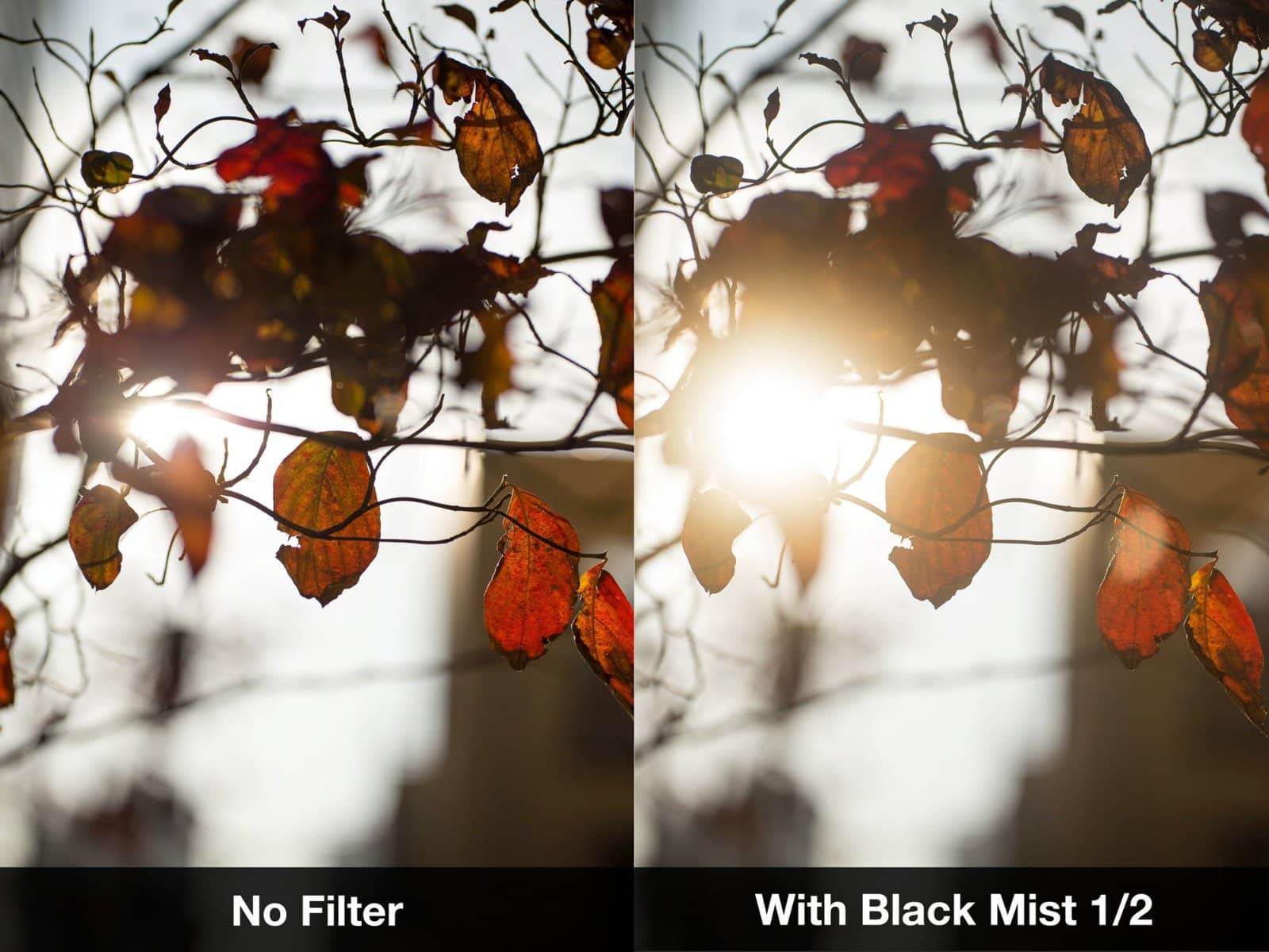 NiSi 95mm Circular Black Mist 1/2 - Image 6