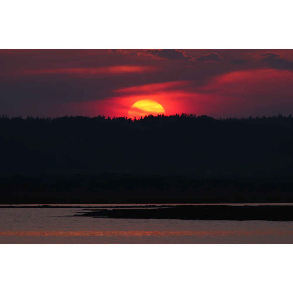 Panasonic Lumix S 100-500mm f/5-7.1 O.I.S Lens - Image 9