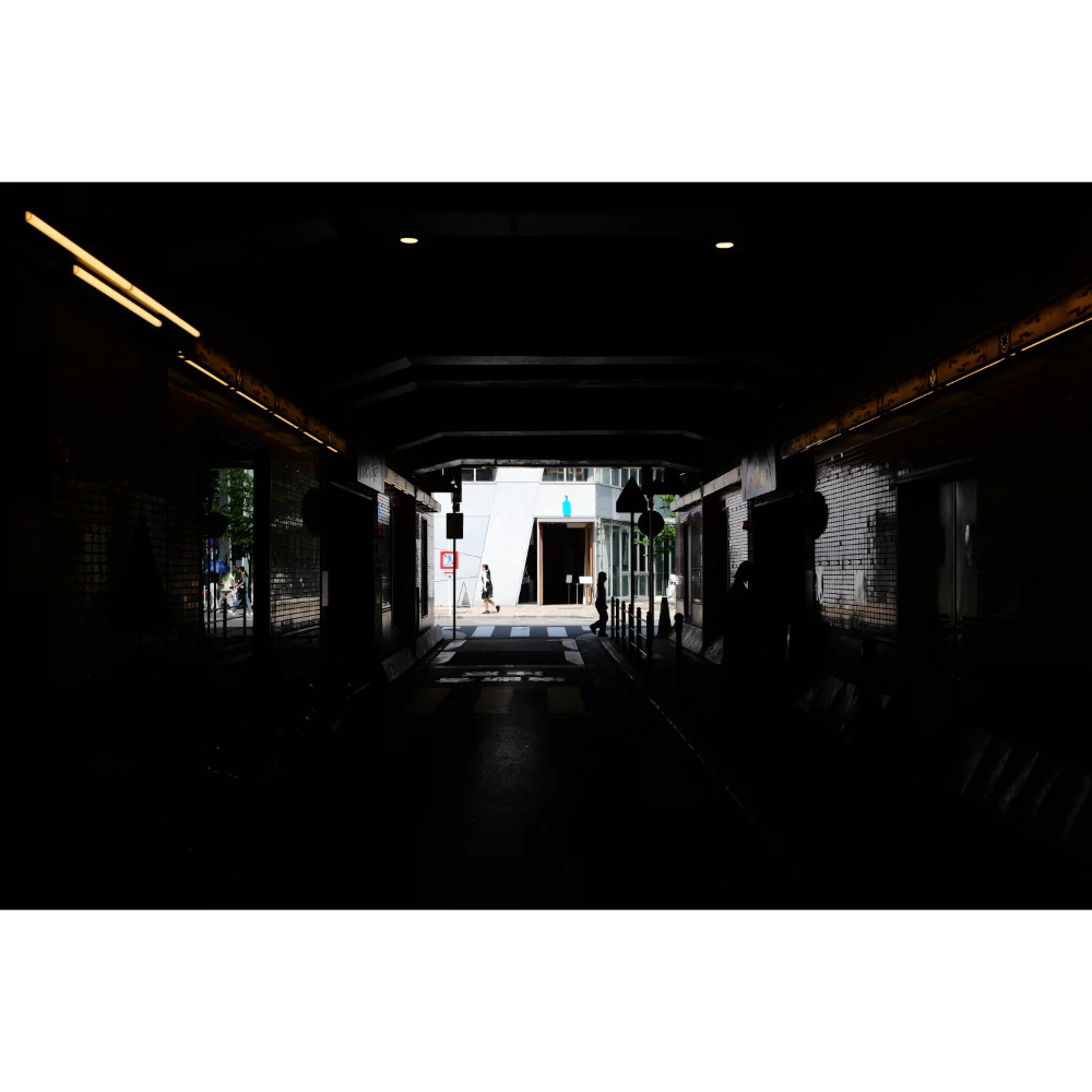 Panasonic Lumix S 18-40mm f/4.5-6.3 Lens - Image 13