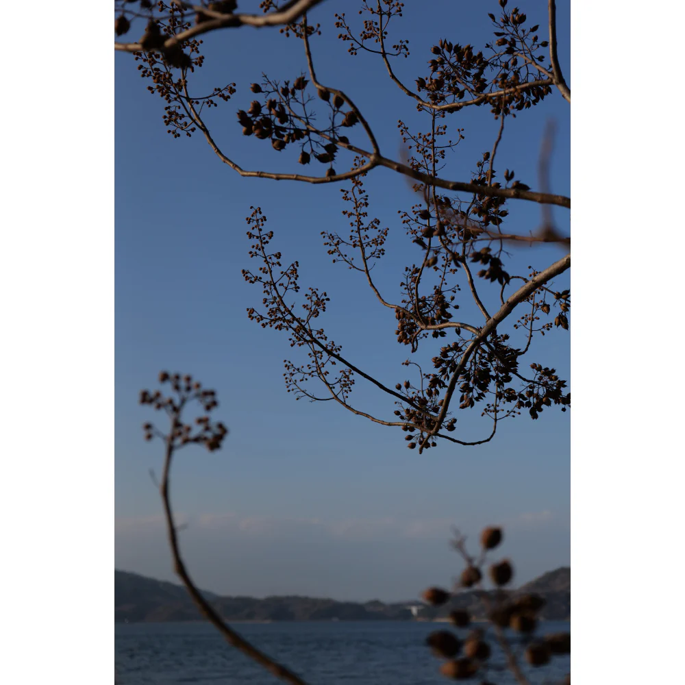 Panasonic Lumix S 24-60mm f/2.8 Lens - Image 10