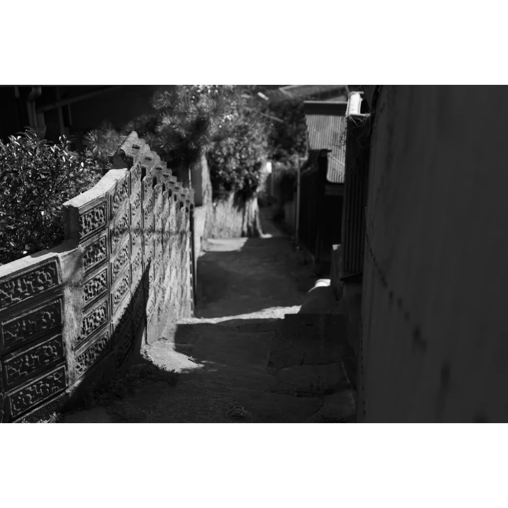 Panasonic Lumix S 24-60mm f/2.8 Lens - Image 17