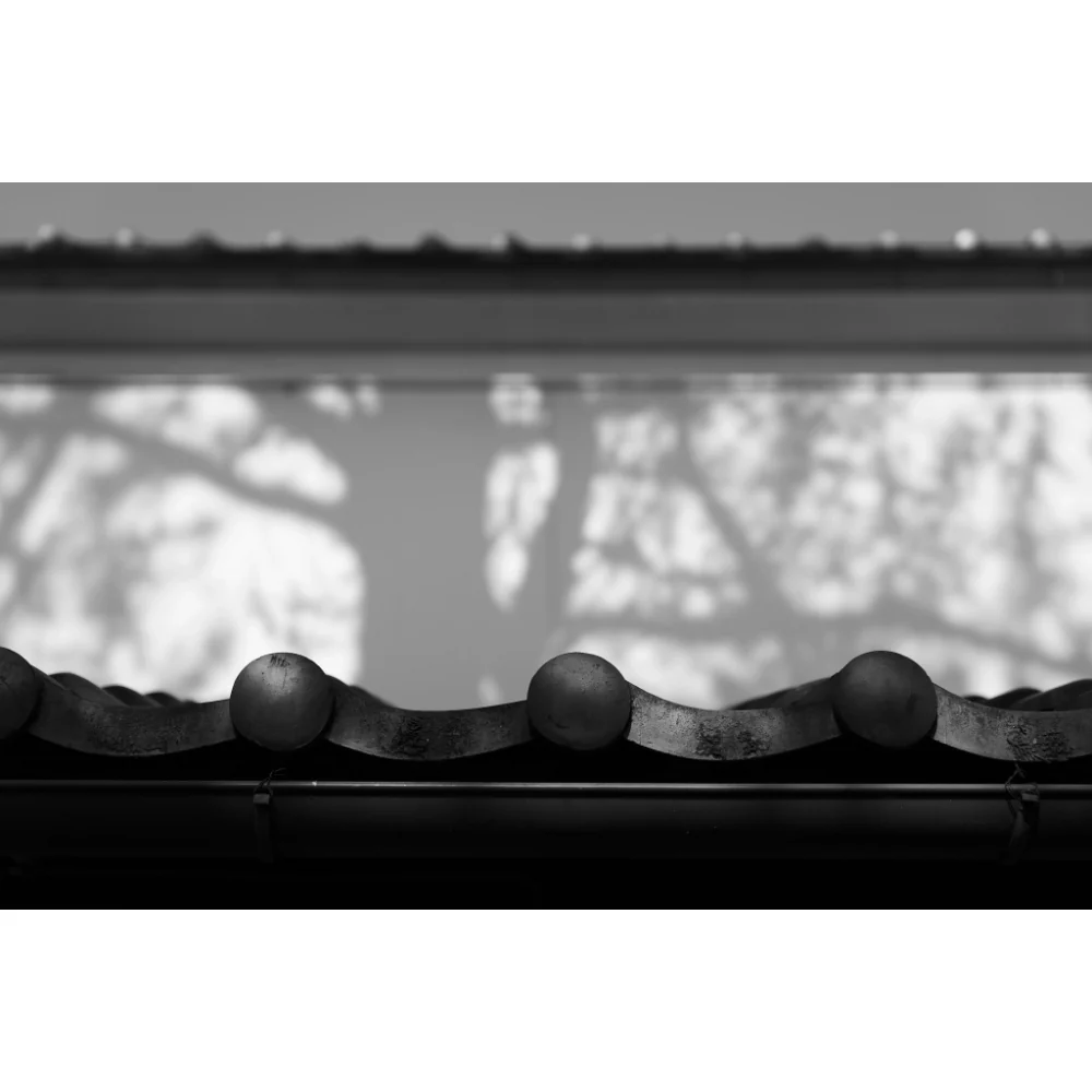 Panasonic Lumix S 24-60mm f/2.8 Lens - Image 9