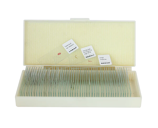 Saxon Plants Biological Microscope Prepared Slides (50pcs) - Image 2