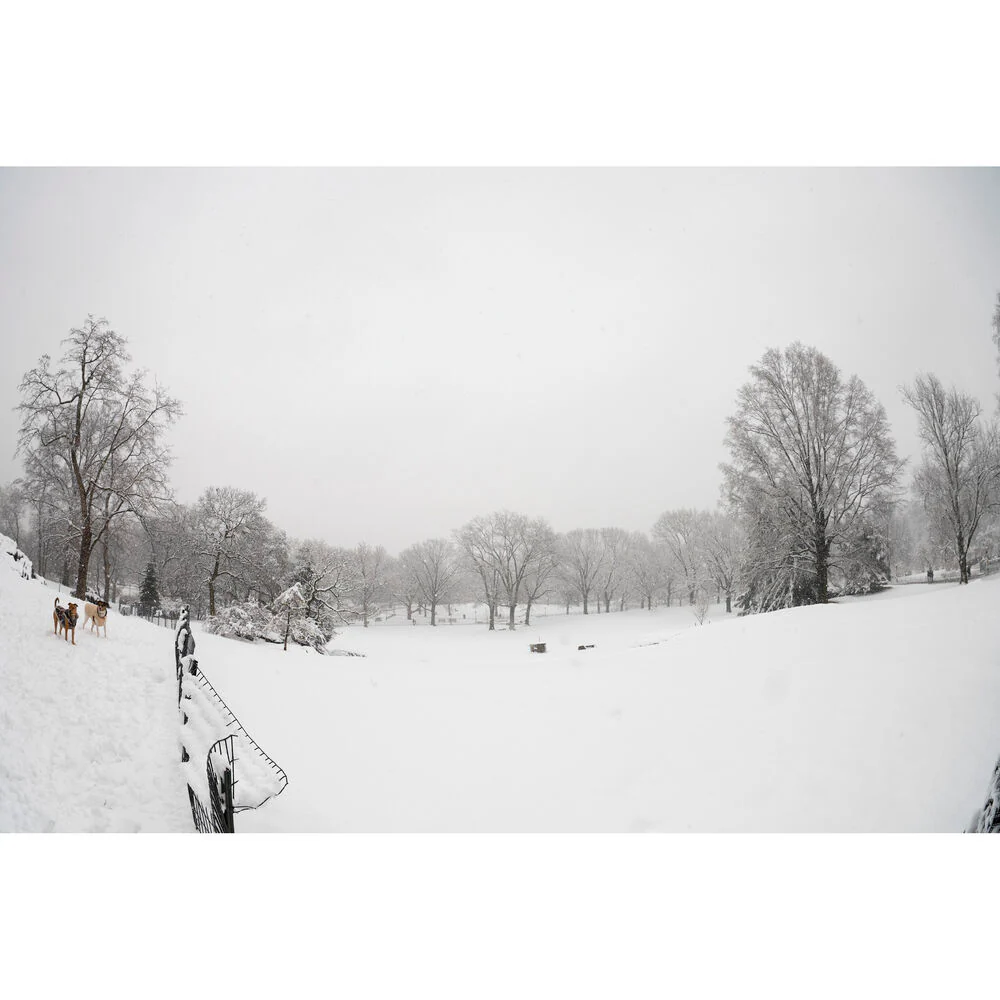 Sigma 15mm f/1.4 Fisheye DG DN Art Lens (Leica L) - Image 15