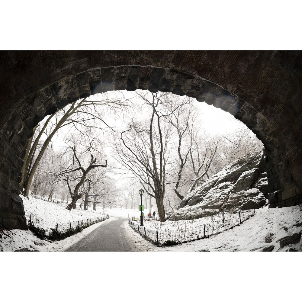 Sigma 15mm f/1.4 Fisheye DG DN Art Lens (Leica L) - Image 16