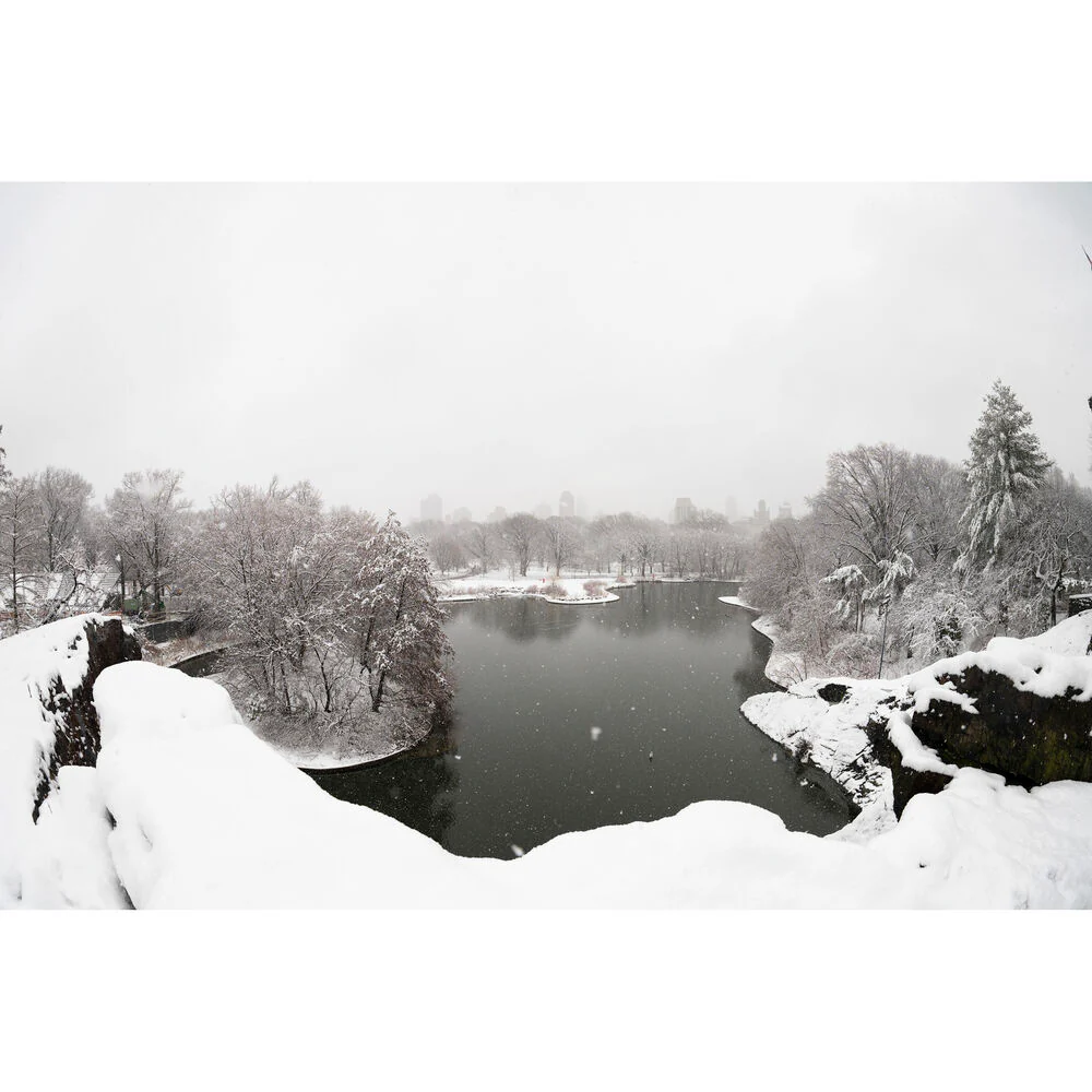 Sigma 15mm f/1.4 Fisheye DG DN Art Lens (Leica L) - Image 17