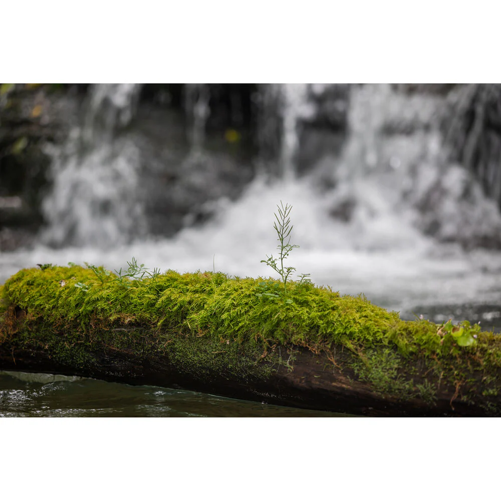 Sigma 28-105mm F2.8 DG DN Art Lens - Image 17