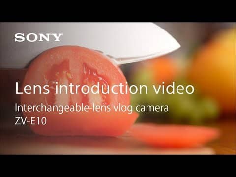 Sony ZV-E10 Mirrorless Camera (Body Only, White) - Image 15
