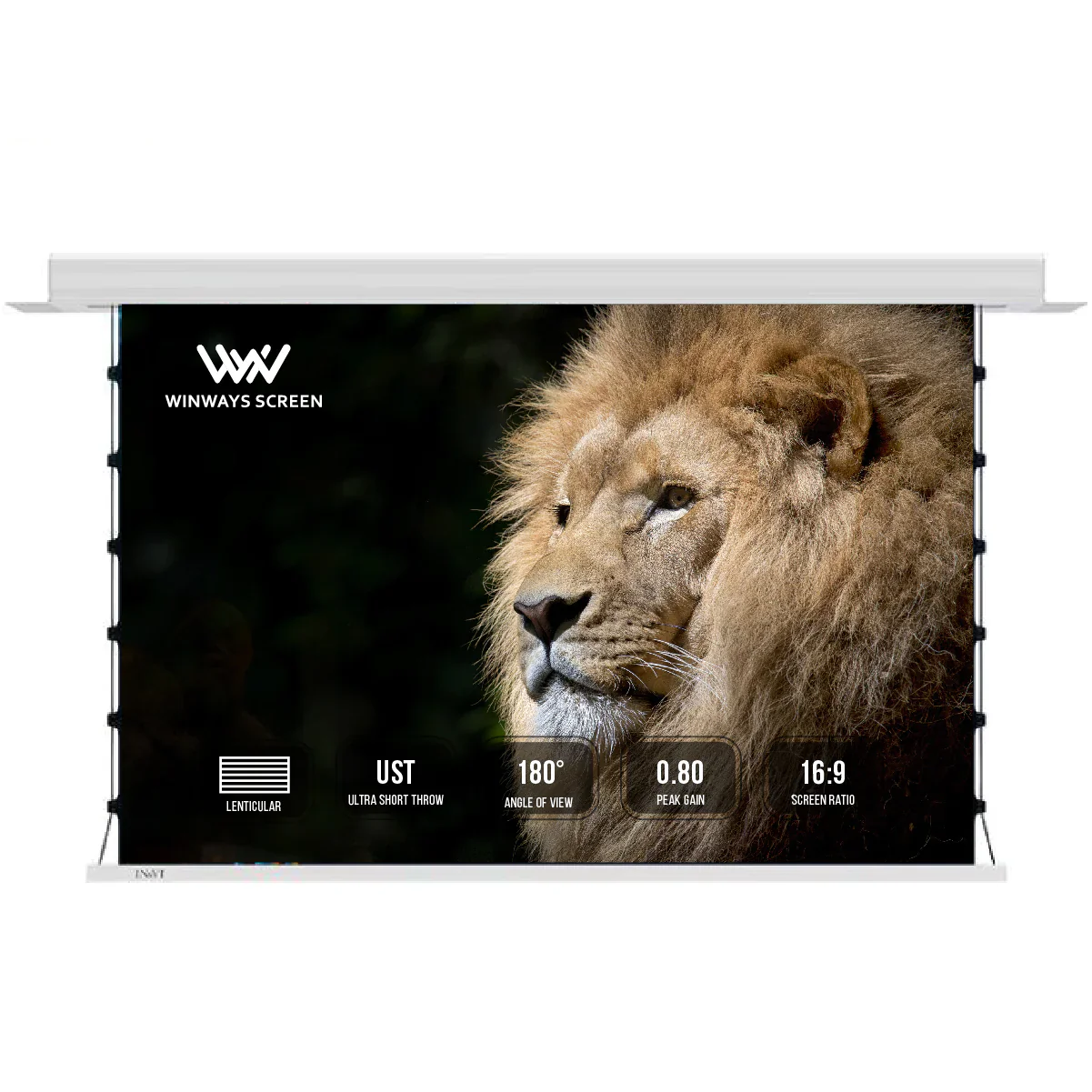 Winways UST Throw ALR 120'' Electric Lenticular Ceiling Tab-Tension Screen - Image 2