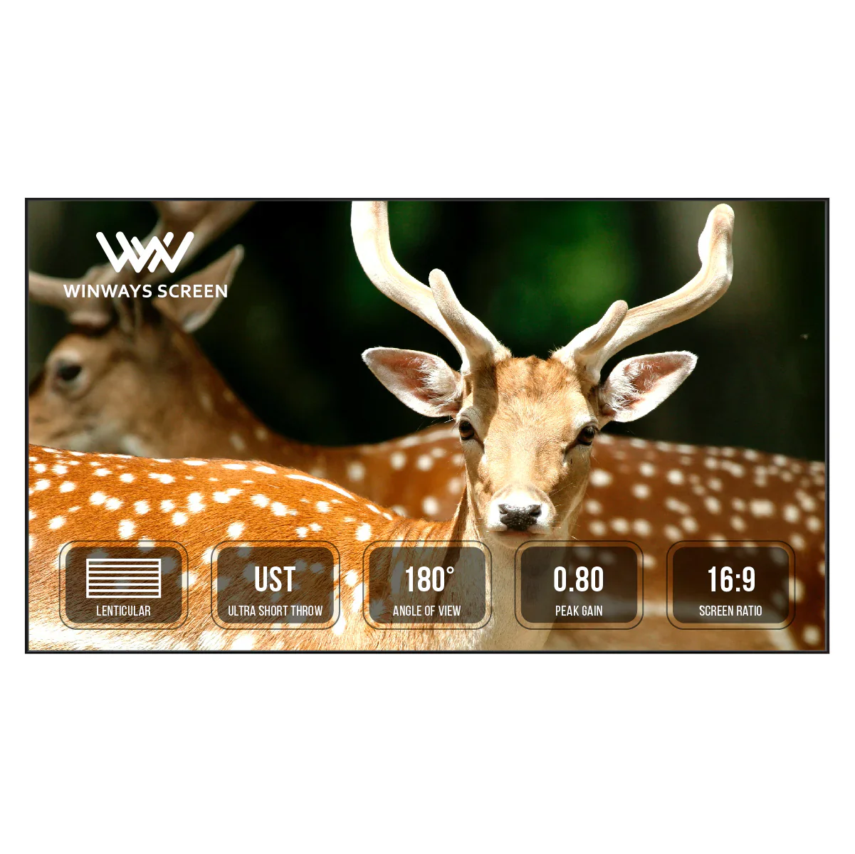 Winways UST Throw ALR Fixed Frame Lenticular Screen